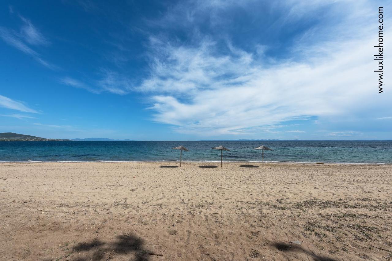 #Luxlikehome - Mediterranee Beachfront Summer House Kalyves Polygyrou Eksteriør bilde
